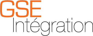 GSE Integration - Services