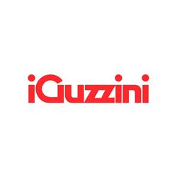 IGUZZINI - Leistungen