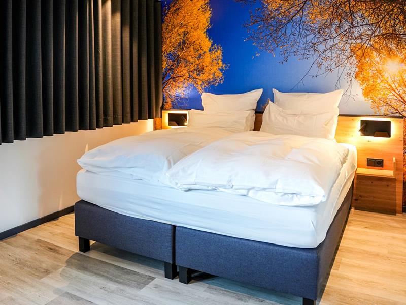 Auberge Wisonbrona - Projets